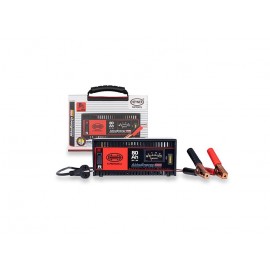 REDRESOR AKKUENERGY PRO 300 8A 12V