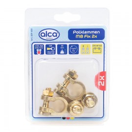 SET 2 BORNE BATERIE AUTO ZINC